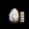НЕТ В НАЛИЧИИ - лот №S000401 — Футляр под ювелирные изделия в форме яйца